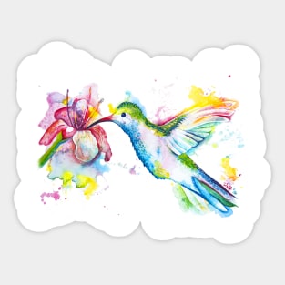 Hummingbird Sticker